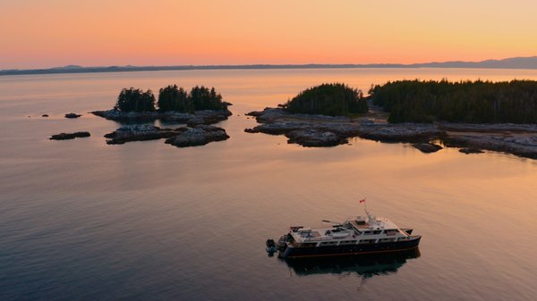 Maple Leaf Adventures by null