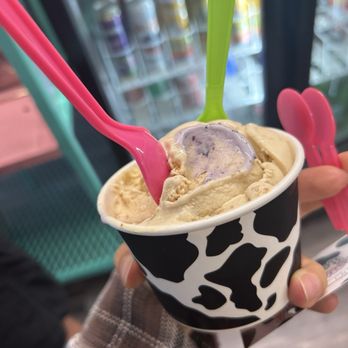 Mooos Creamery - Cookie butter and blueberry cheesecake - Ice Cream & Frozen Yogurt Near Me - Yuma, Arizona Mooos Creamery - Cookie butter and blueberry cheesecake - Ice Cream & Frozen Yogurt Near Me - Yuma, Arizona