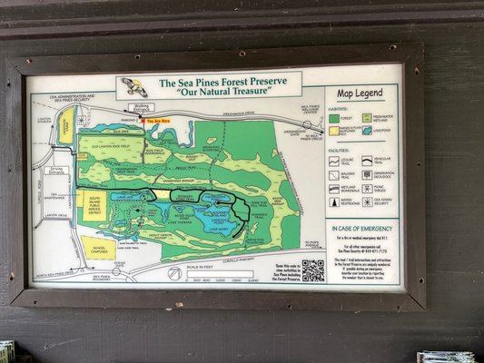 Sea Pines Forest Preserve by null