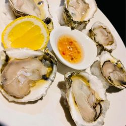 Iron Tail Tavern in Buffalo gift card