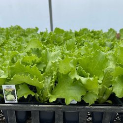 Heritage Acres Greenhouse Gifts & More