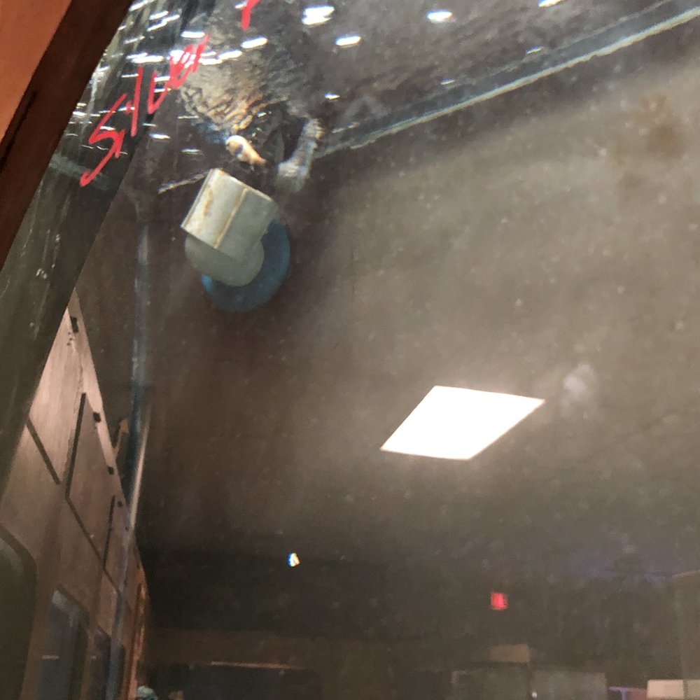 Forever Pets - There were 4 dead fish in this tank - Pet Services Near Me - San Antonio, Texas Forever Pets - There were 4 dead fish in this tank - Pet Services Near Me - San Antonio, Texas
