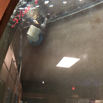Forever Pets - There were 4 dead fish in this tank - Pet Services Near Me - San Antonio, Texas Forever Pets - There were 4 dead fish in this tank - Pet Services Near Me - San Antonio, Texas