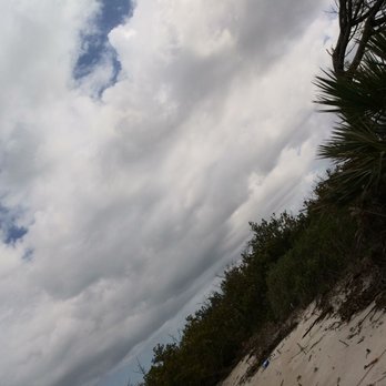 Ponce Inlet Watersports - Island you stop on for sea shell picking. LOTS of sea shells here - Boat Tours Near Me - Ponce Inlet, Florida