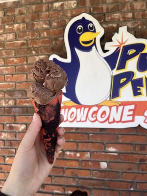 Purple Penguin Snowcone Shack by null