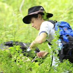 Urban Kid Adventurers - Foraging for berries