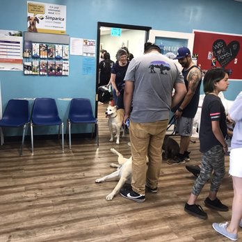 Pet Supreme - The vet line was long so get there 45 min before they open - Pet Stores Near Me - Sylmar, California Pet Supreme - The vet line was long so get there 45 min before they open - Pet Stores Near Me - Sylmar, California