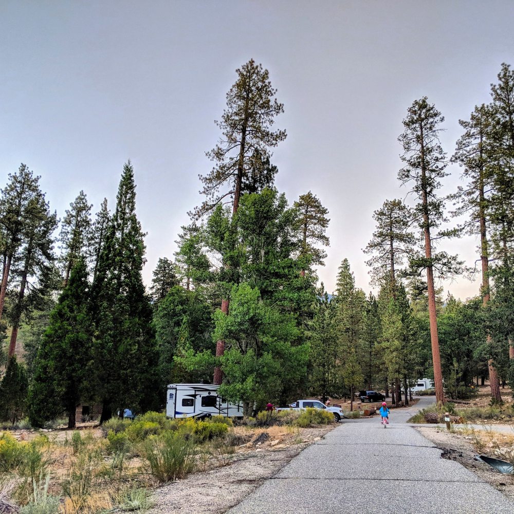 Barton Flats Campground - Campgrounds, site #2 on the left. - Campgrounds Near Me - San Bernardino, California