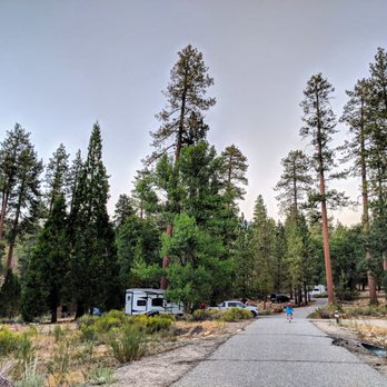 Barton Flats Campground - Campgrounds, site #2 on the left. - Campgrounds Near Me - San Bernardino, California Barton Flats Campground - Campgrounds, site #2 on the left. - Campgrounds Near Me - San Bernardino, California