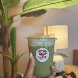 Cactus Flower Matcha Cactus Flower Matcha
