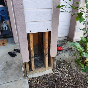 Option One Termite Control - Termite damage. - Pest Control Near Me - Jurupa Valley, California