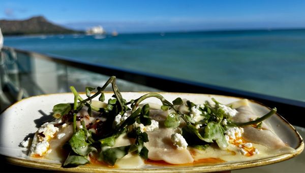 Shore Bird Restaurant & Beach Bar by null