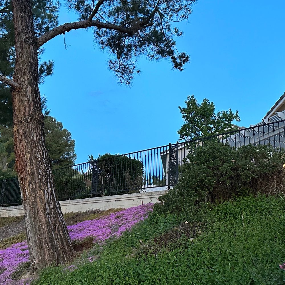 Erikson Mobile Welding & Locksmith - Rear fence - Fences & Gates Near Me - Lake Elsinore, California Erikson Mobile Welding & Locksmith - Rear fence - Fences & Gates Near Me - Lake Elsinore, California