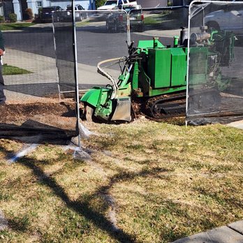 Yosca - Full ServiceTree Care - grinder with protective debris screen. - Tree Services Near Me