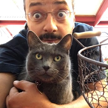 Casa Appliance Repair - Mike with our other cat Sophie! - Appliances & Repair Near Me Casa Appliance Repair - Mike with our other cat Sophie! - Appliances & Repair Near Me