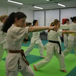 World Oyama Karate Matsumoto Dojo - Won't you join our Women's only class?