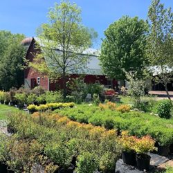 Branch Landscape Nursery - BLN