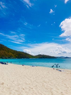 Magens Bay Beach by null