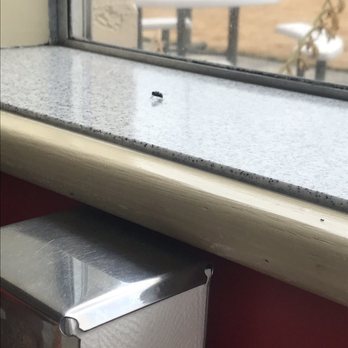 Don Pedro Taqueria - A (well fed) fly on the windowsill next to my table. Not the ideal lunch companion. There's also a dead ant lying there. - Mexican Near Me - Camas, Washington Don Pedro Taqueria - A (well fed) fly on the windowsill next to my table. Not the ideal lunch companion. There's also a dead ant lying there. - Mexican Near Me - Camas, Washington