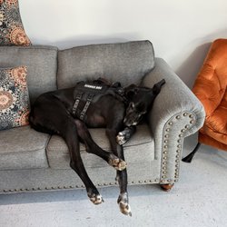 Mt Juliet Donut Shop - Reagan...taking it easy