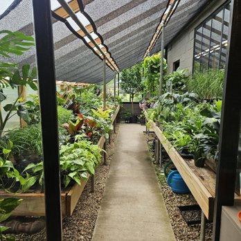 Bedford Greenhouses - Nurseries & Gardening Near Me - Augusta, Georgia Bedford Greenhouses - Nurseries & Gardening Near Me - Augusta, Georgia