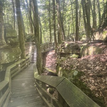 Beartown State Park - Boardwalk view - Parks Near Me - Renick, West Virginia