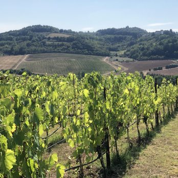 Antinori nel Chianti Classico - Wineries Near Me - Florence, FI