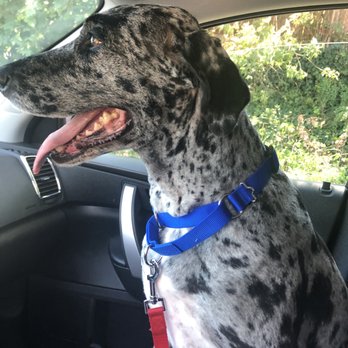 Shelby! Trim & pedicure!