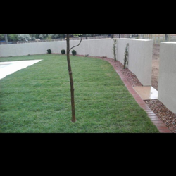 Alberto's Landscaping