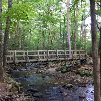 AMETHYST BROOK CONSERVATION AREA - Updated January 2025 - Amherst 