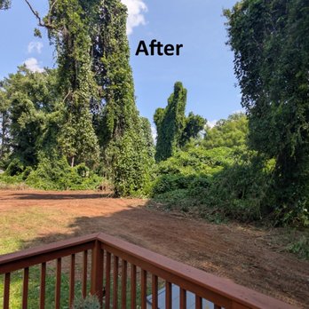 RTS Tree Services - After - Tree Services Near Me - Conyers, Georgia RTS Tree Services - After - Tree Services Near Me - Conyers, Georgia