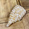 Willamette Valley Pie Company gift card