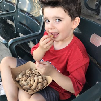 Texas Rangers Baseball - Professional Sports Teams Near Me - Arlington, Texas Texas Rangers Baseball - Professional Sports Teams Near Me - Arlington, Texas
