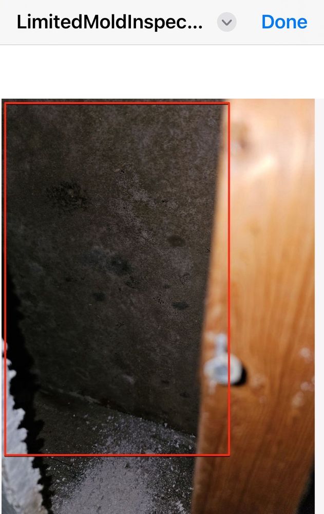 New Concept Property Management - property management company in Tucson, AZ