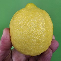 La Bonita Market - Great lemons