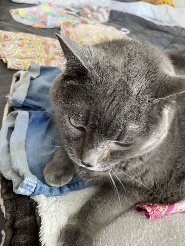 Social Security - social services organization in Oklahoma City, OK