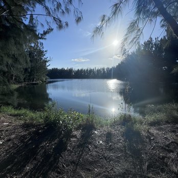 Silver Lakes Rotary Nature Park - Parks Near Me - Davie, Florida Silver Lakes Rotary Nature Park - Parks Near Me - Davie, Florida