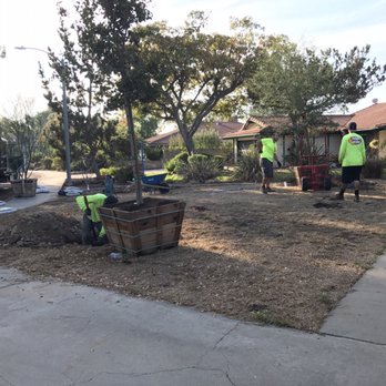 Moon Valley Nurseries - Tree Services Near Me - Chino, California Moon Valley Nurseries - Tree Services Near Me - Chino, California