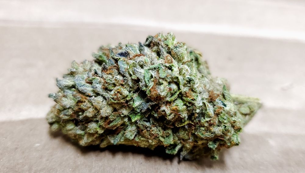 TREE FROG BOTANICALS Updated October 2024 15 Photos Vacaville