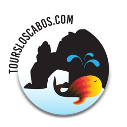 Tours Los Cabos