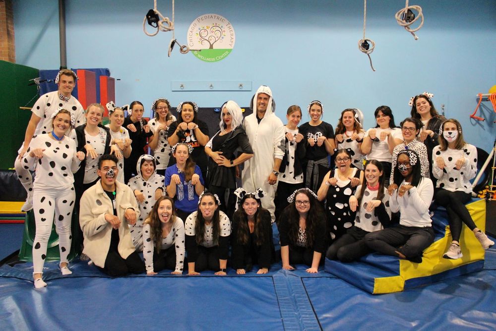 Chicago Pediatric Therapy & Wellness Center - child therapist in Chicago, IL