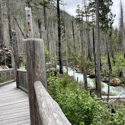 Newhalem Campground - Rock Shelter Trail