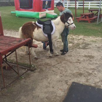Petting Zoo Ocala - This was just a portion of our experience - Petting Zoos Near Me - Ocala, Florida Petting Zoo Ocala - This was just a portion of our experience - Petting Zoos Near Me - Ocala, Florida