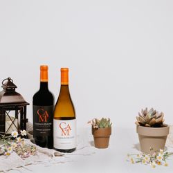 Cameron Hughes Wine