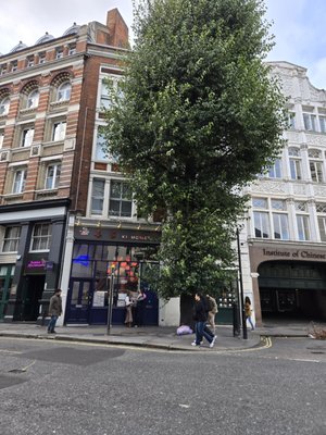 Xi Home Dumplings Bay by null