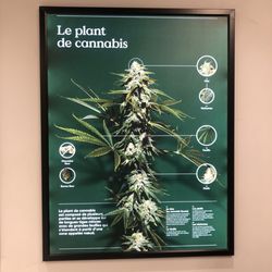 SQDC - Société Québécoise du Cannabis