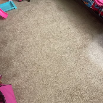 All Muscle Carpet Cleaning - Carpet Cleaning Near Me All Muscle Carpet Cleaning - Carpet Cleaning Near Me