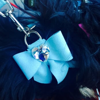 Funny Fur - Susan Lanci harness - Pet Stores Near Me - Houston, Texas Funny Fur - Susan Lanci harness - Pet Stores Near Me - Houston, Texas