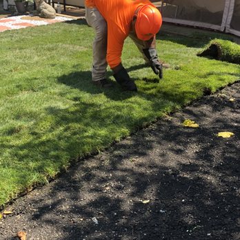 JULIO Castillo - Sod installation - Tree Services Near Me JULIO Castillo - Sod installation - Tree Services Near Me