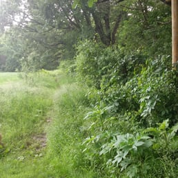 The back entrance!
